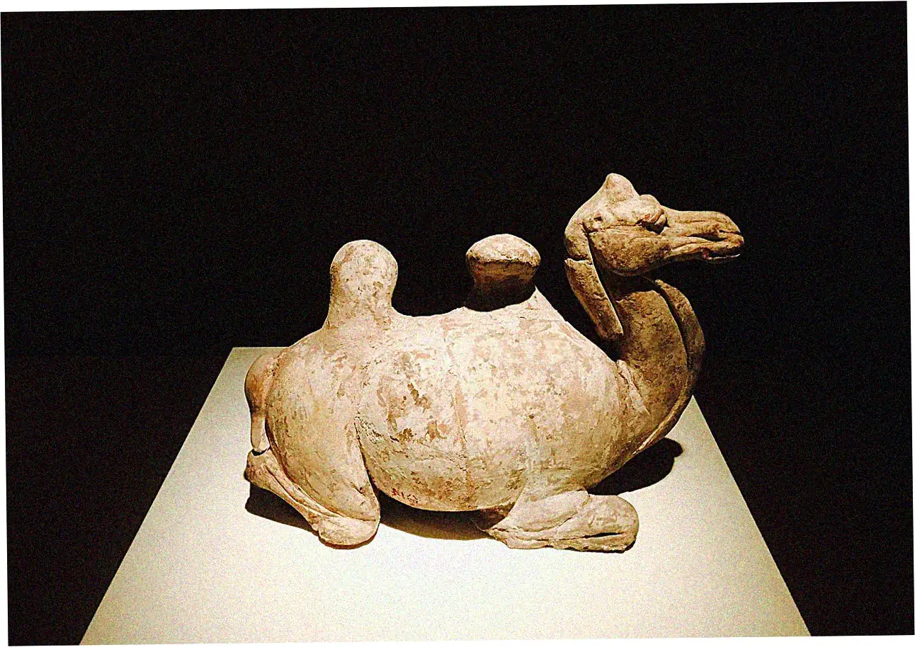 Terracotta Warriors ticket booking for foreign tourists