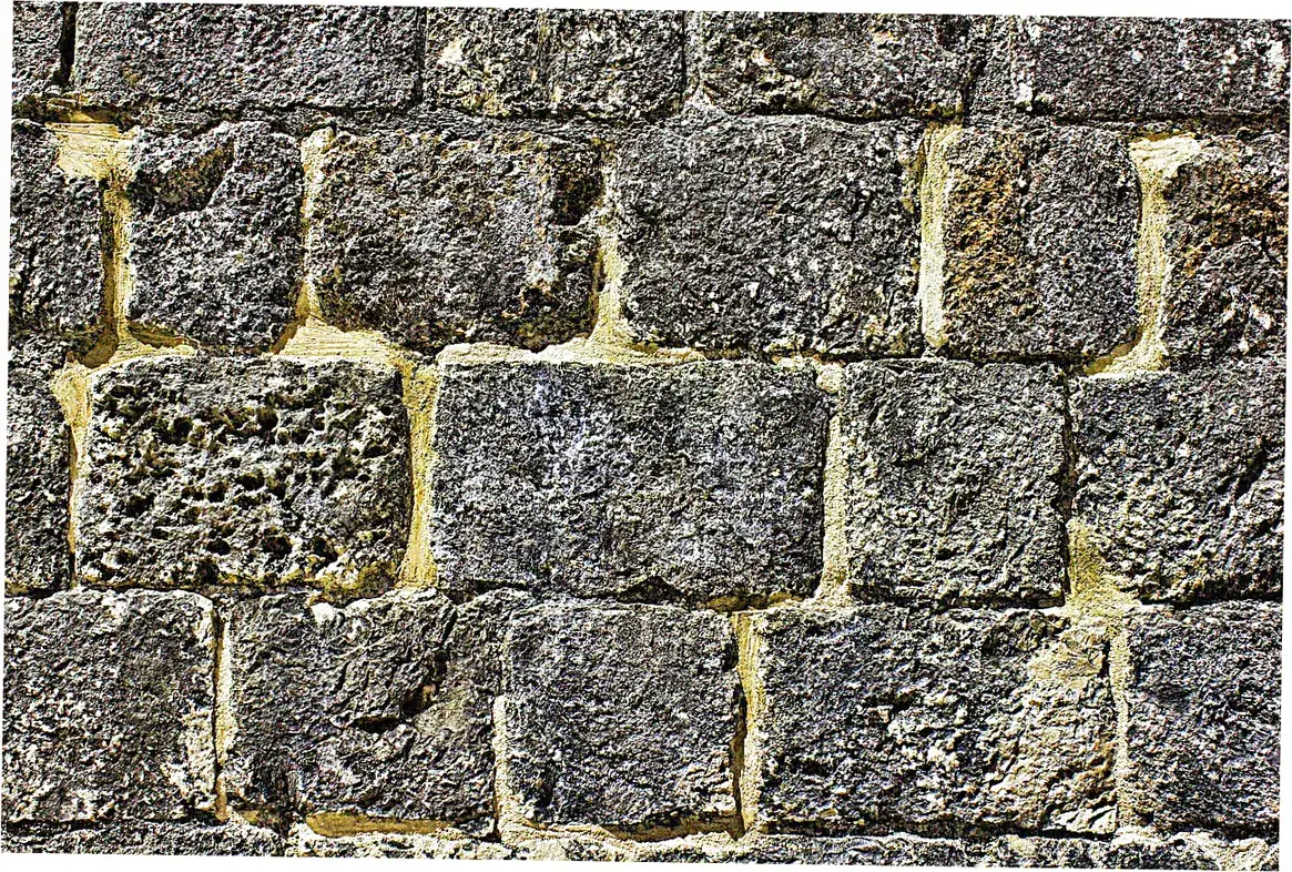 How to visit Nine-Dragon Wall in Forbidden City