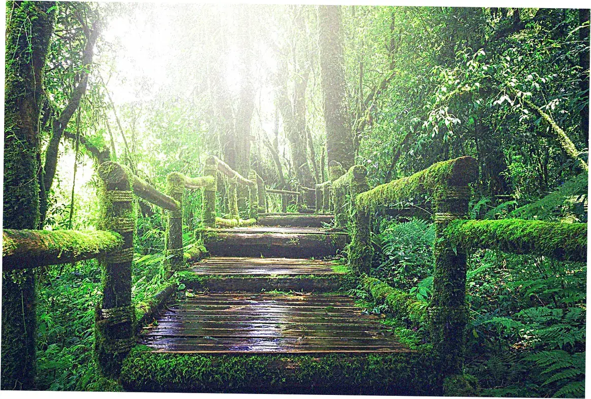 What are the cost comparisons to traditional walkways?