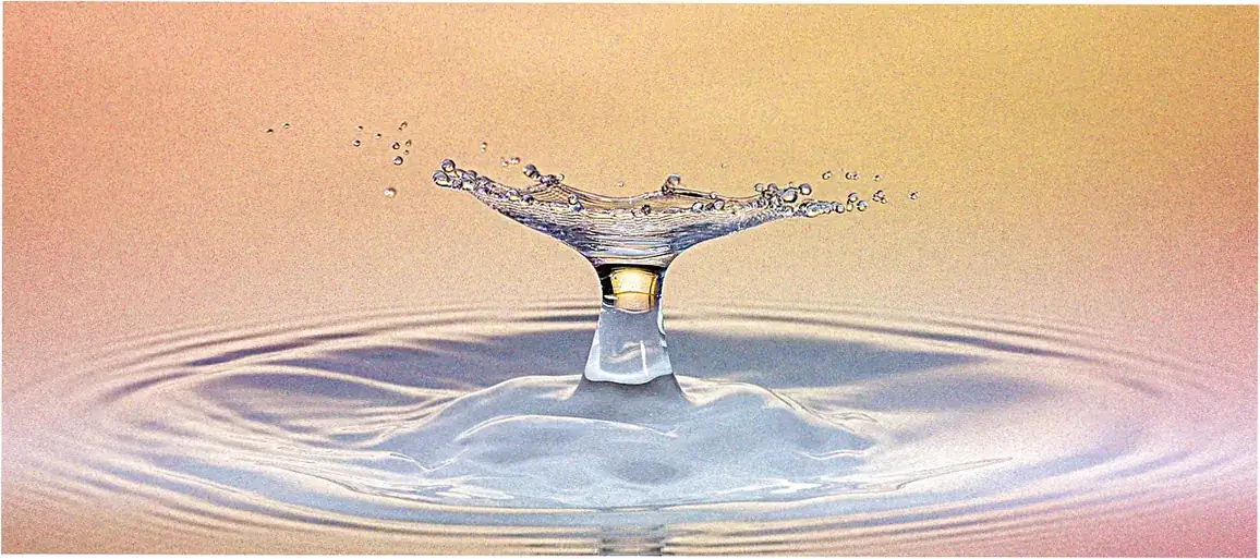 Spiritual traditions embrace Ripple consciousness