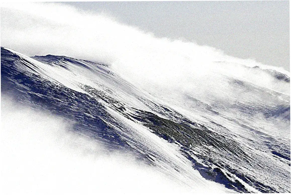 Longquan Mountain ecological restoration by CRCC