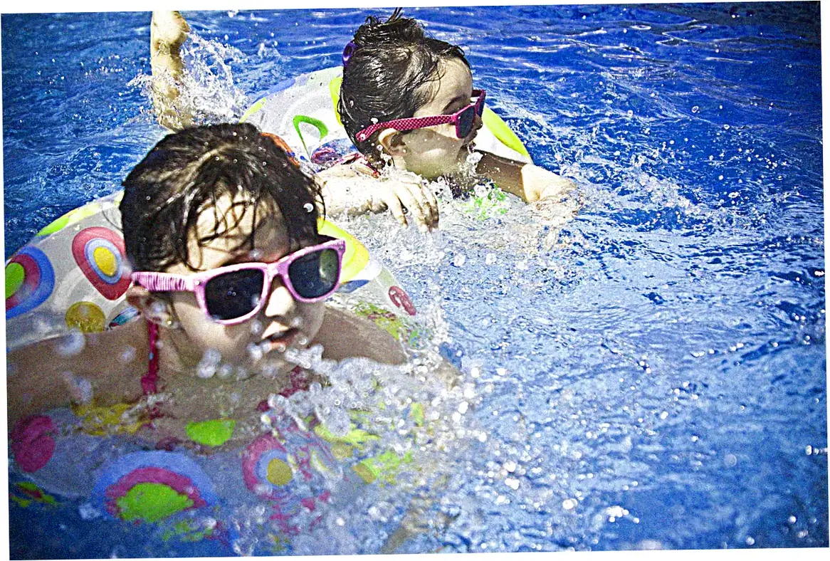 Bearded Dragon Swimming Safety Tips