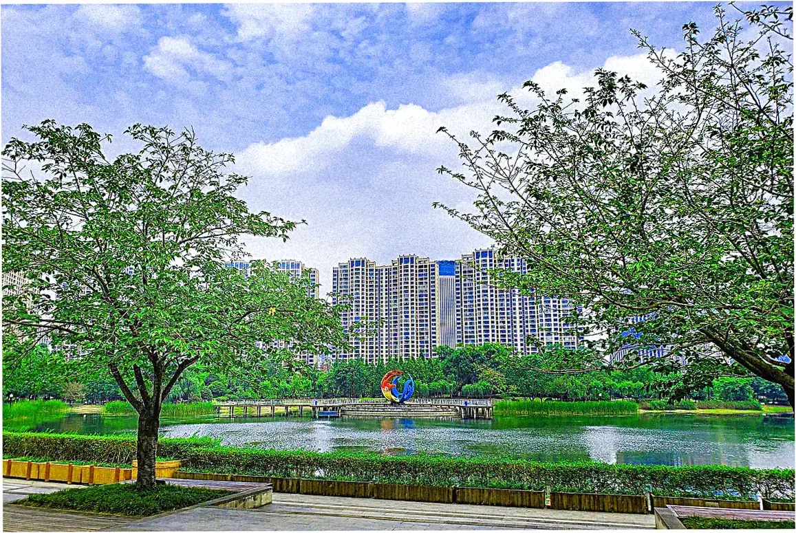 Chengdu's Iconic Giant Pandas
