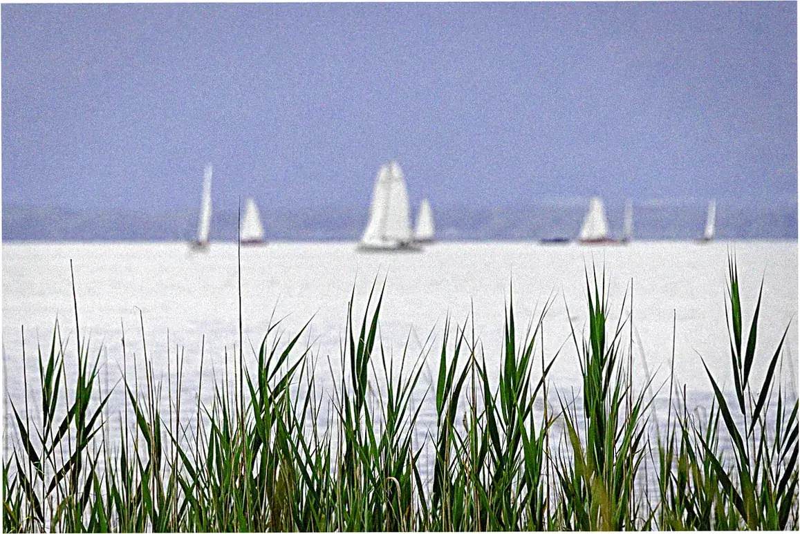 Lashihai Lake Day Trip Guide Scenic Routes Tips