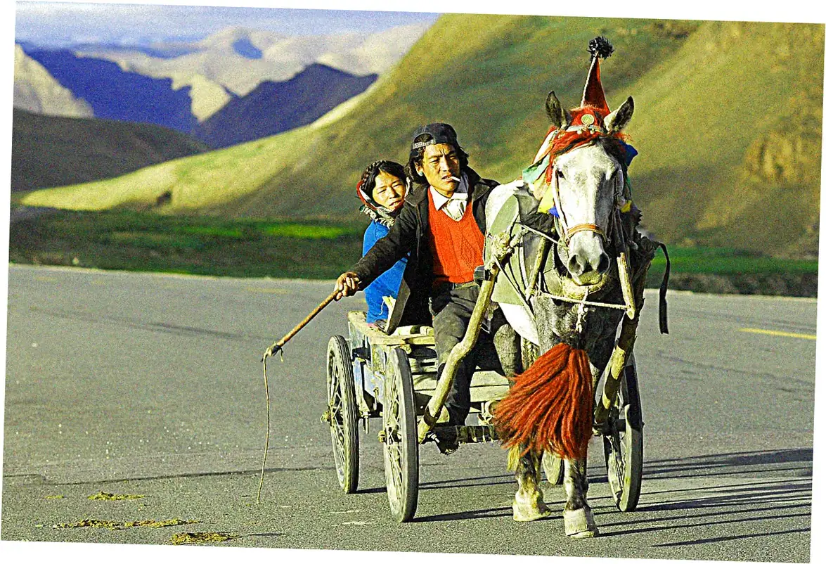 Ancient Tea Horse Road Origins Trade Routes Legacy