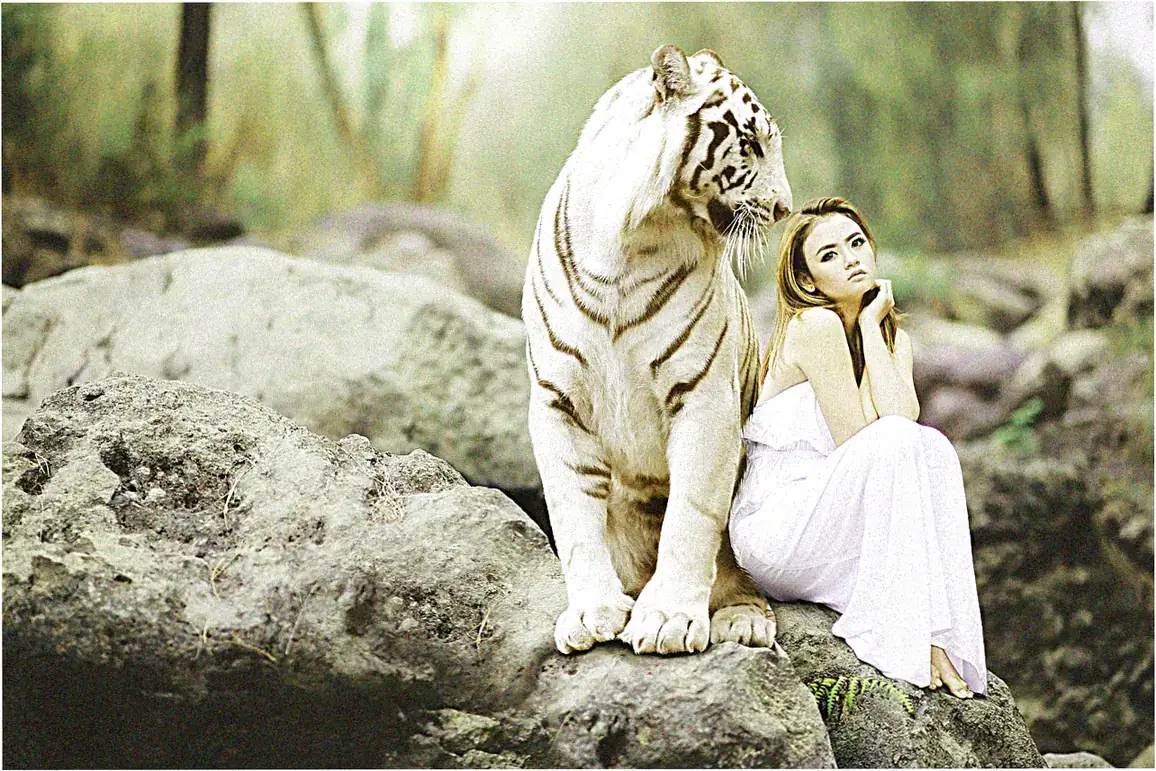 Wildlife and Nature