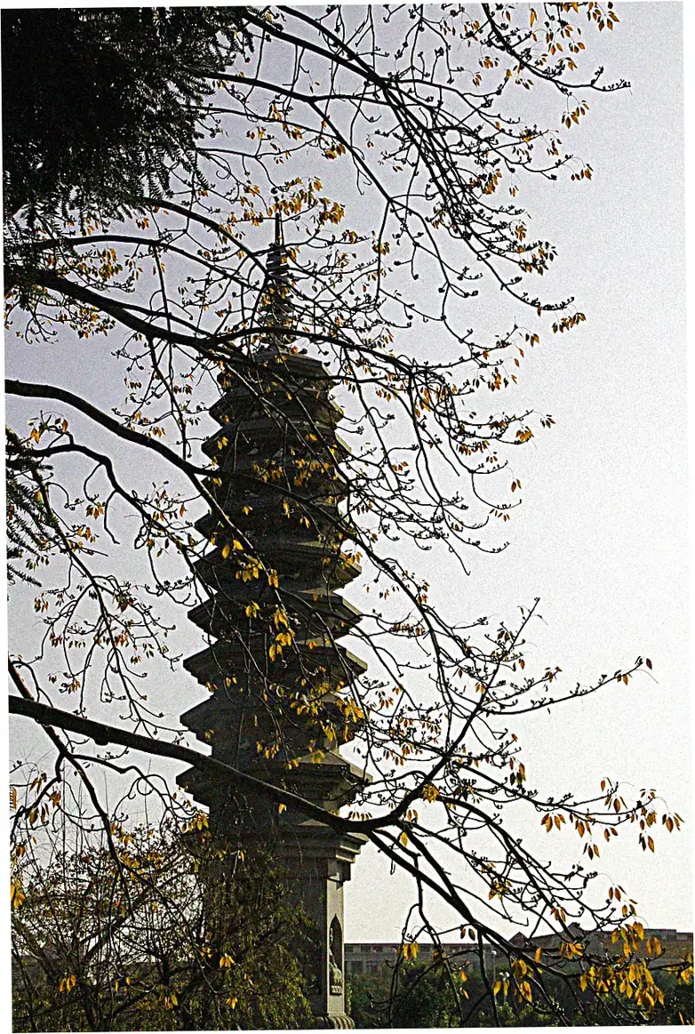 Xiamen’s Sacred Landmark Nanputuo Temple Travel Guide