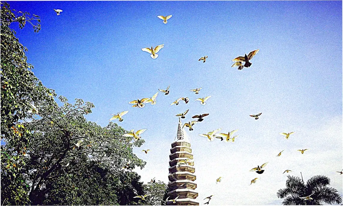 10. Sustainable Tourism and Preservation