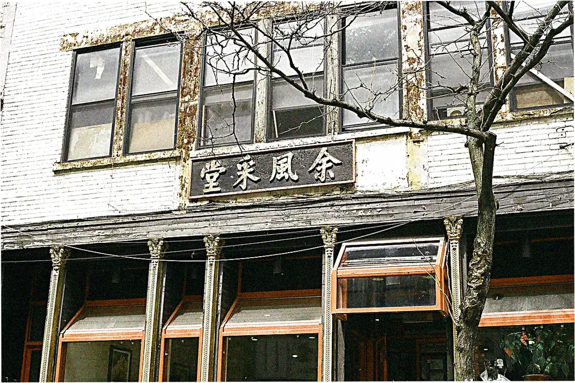 Defining Authentic Chinese Cuisine Excellence