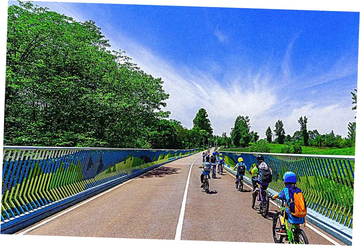 Chengdu's Park Culture