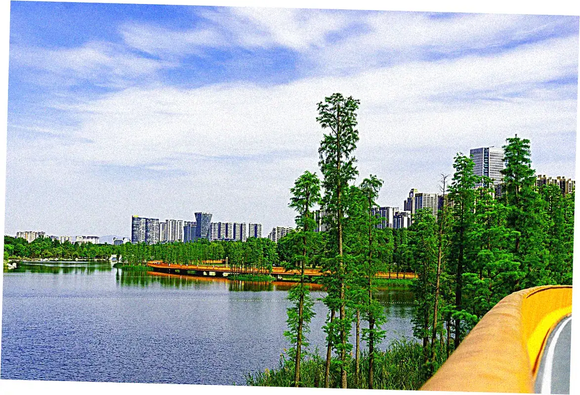 Chengdu's Park Culture