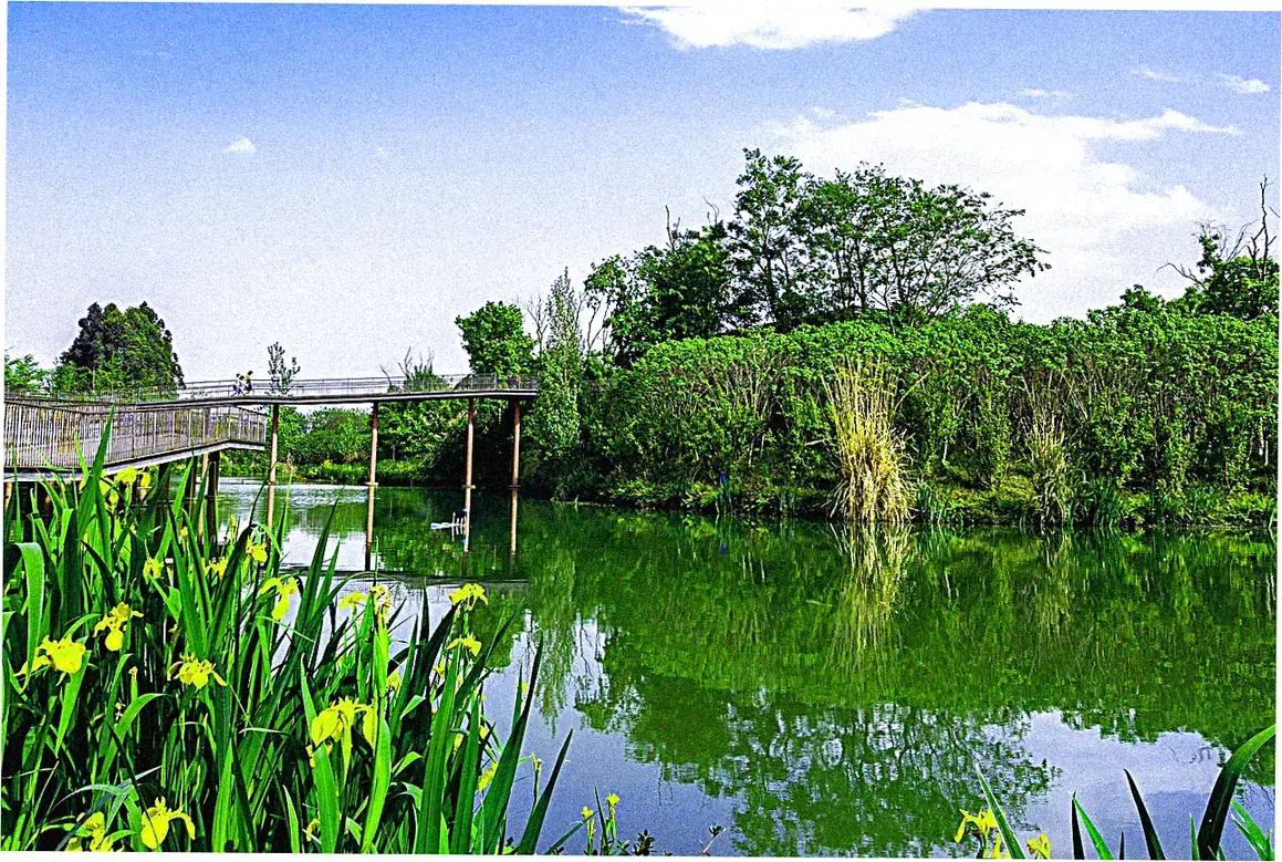 Chengdu's Park Culture
