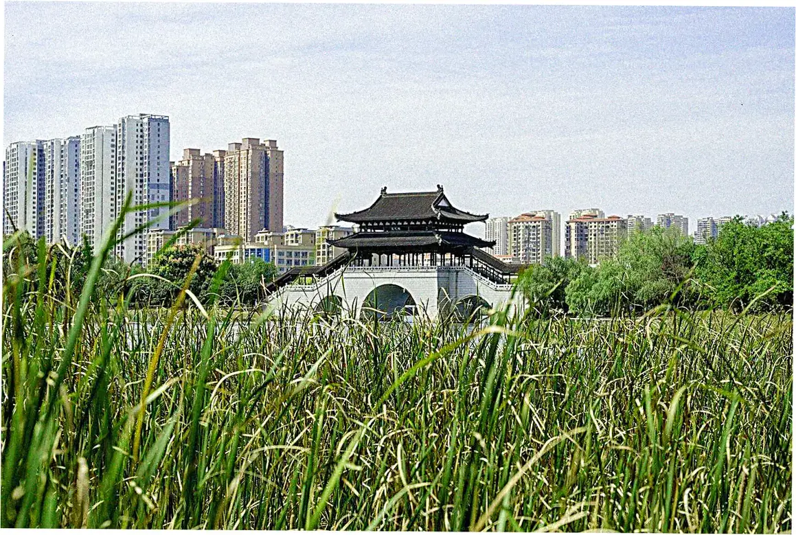 Modern Marvels in China's Urban Parks