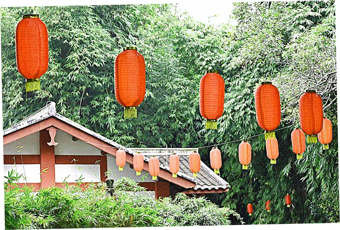 Seasonal Culinary Journey at Spring Bliss Festival