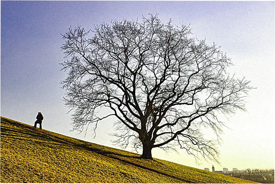 Jinggang Mountains Trip Guide: Red Culture Hiking Scenic Spots