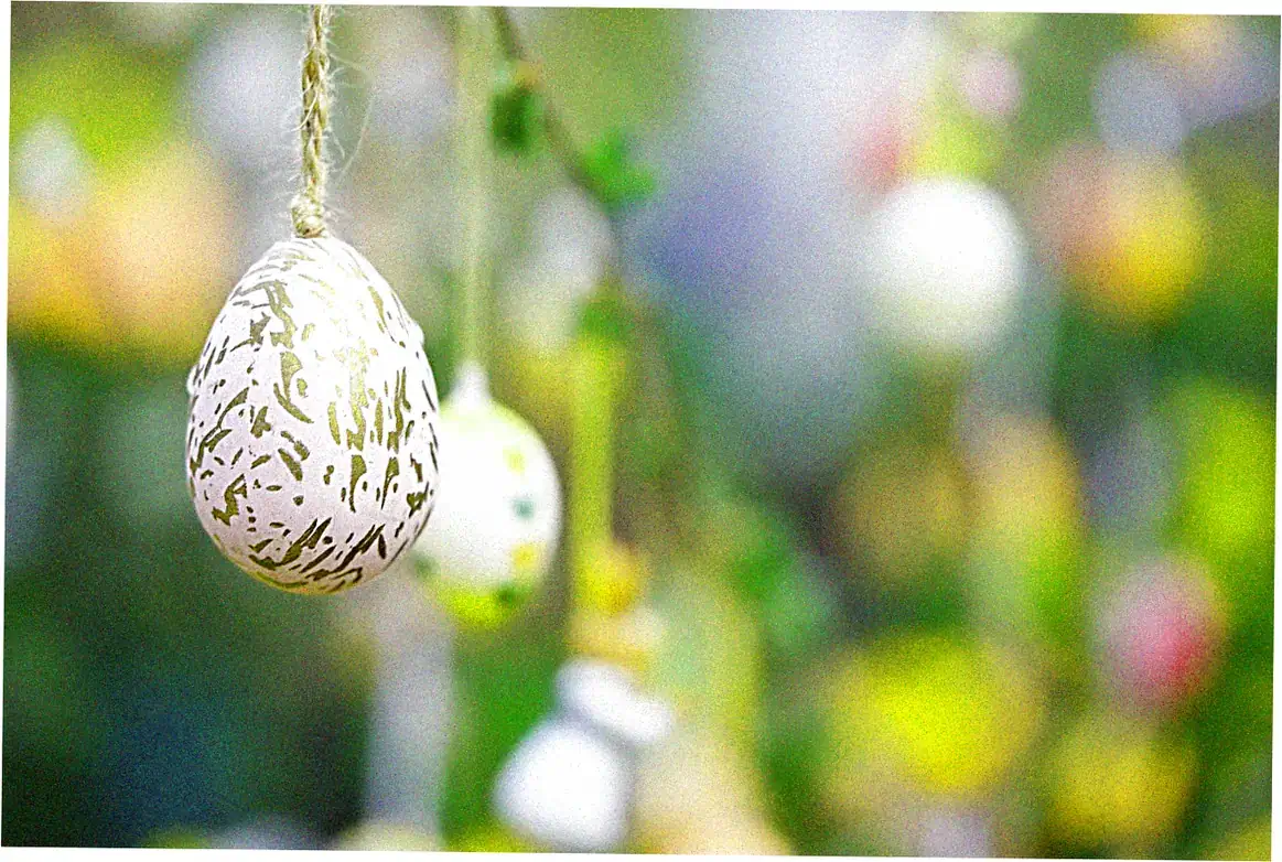 Spring Festivals in the Americas: Color and Creativity
