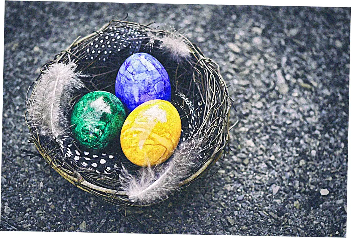 Spring Festival Celebrations Worldwide: Top Events and Cultural Insights