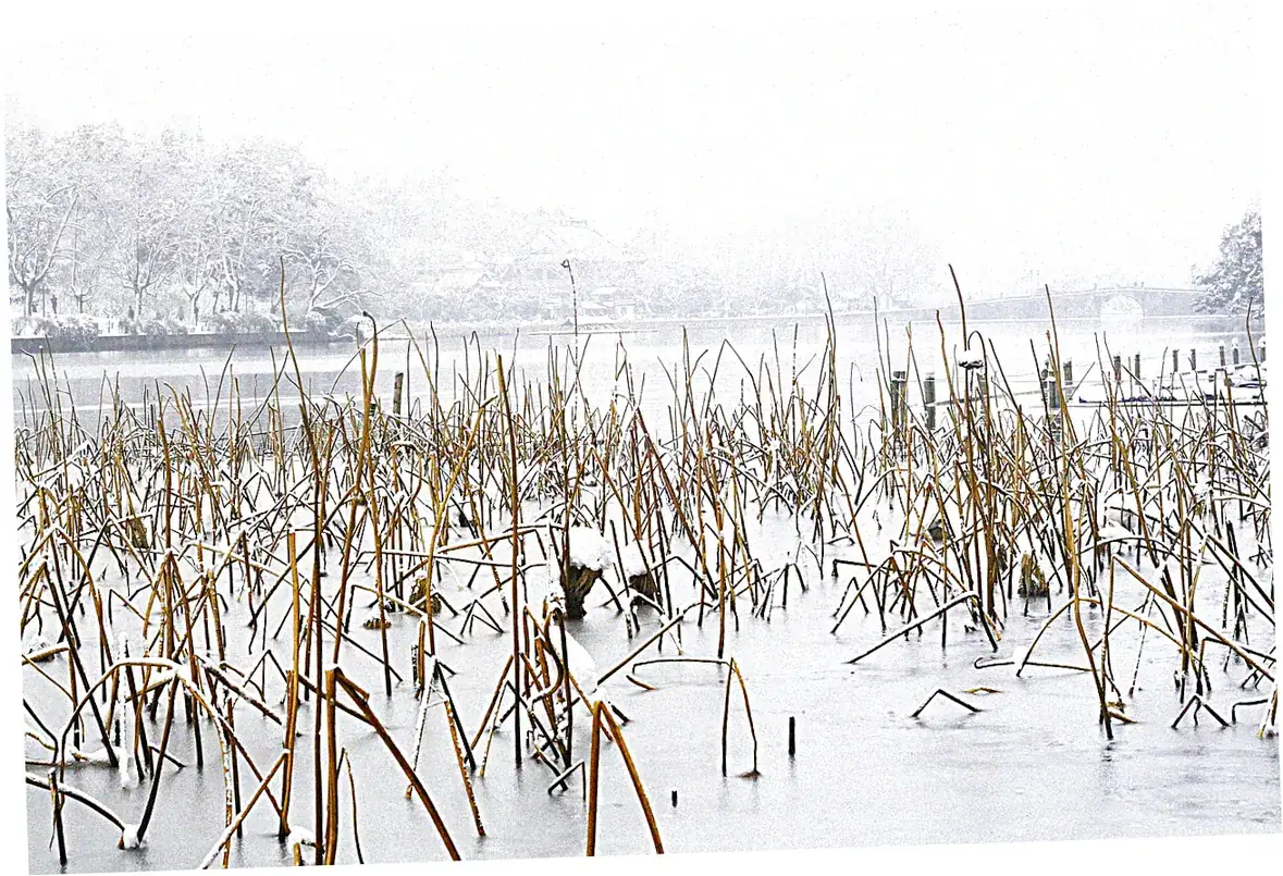 The Historical and Cultural Significance of West Lake