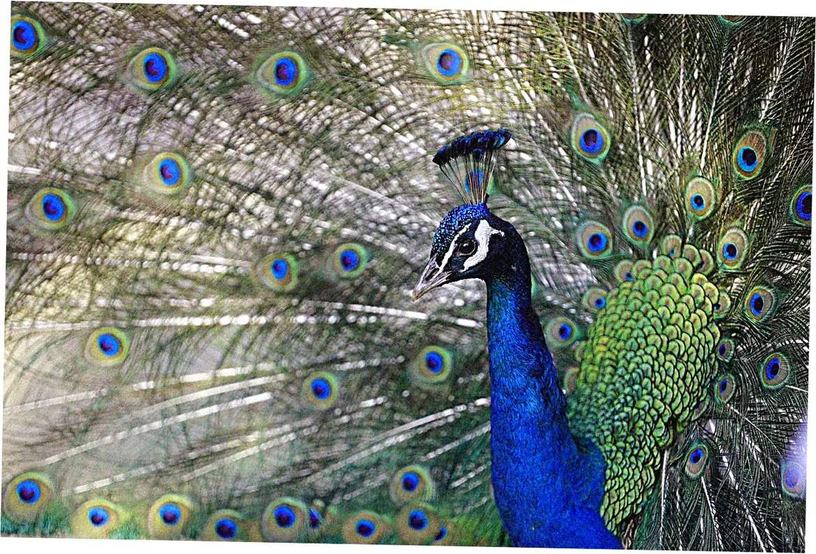 Hangzhou's Natural Attractions and Parks