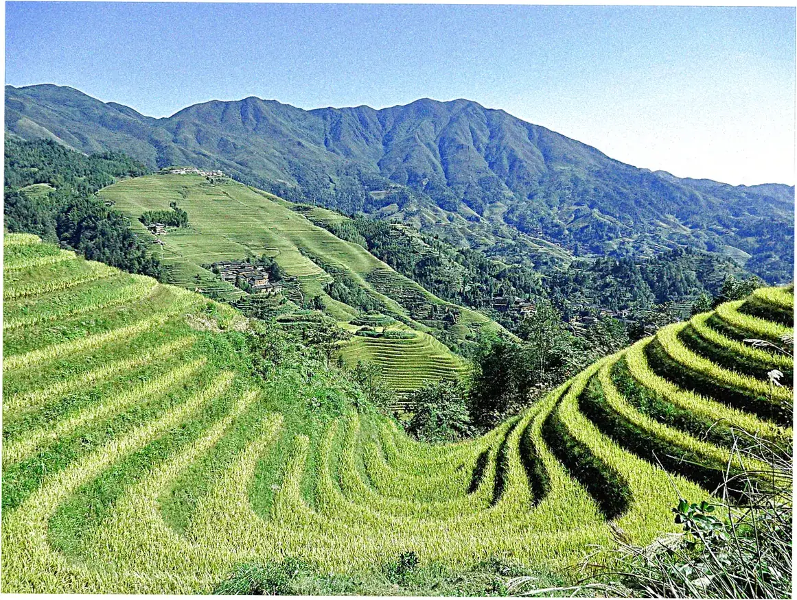 Best Time to Visit Longji Terraces