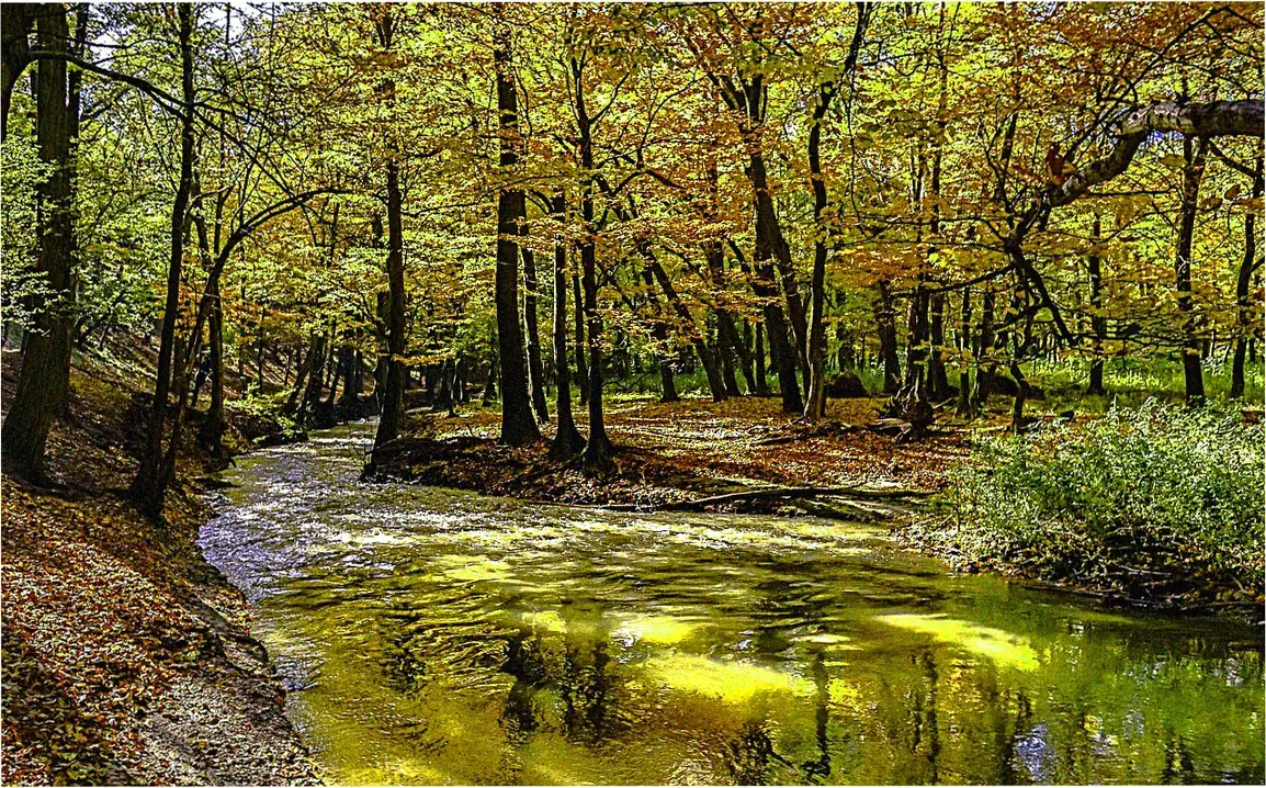 Cultural Experiences Enhanced by Rains