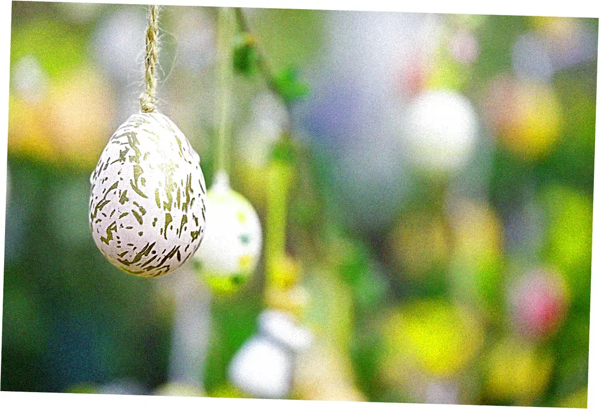 Planning Your Visit and Experiencing the Festival