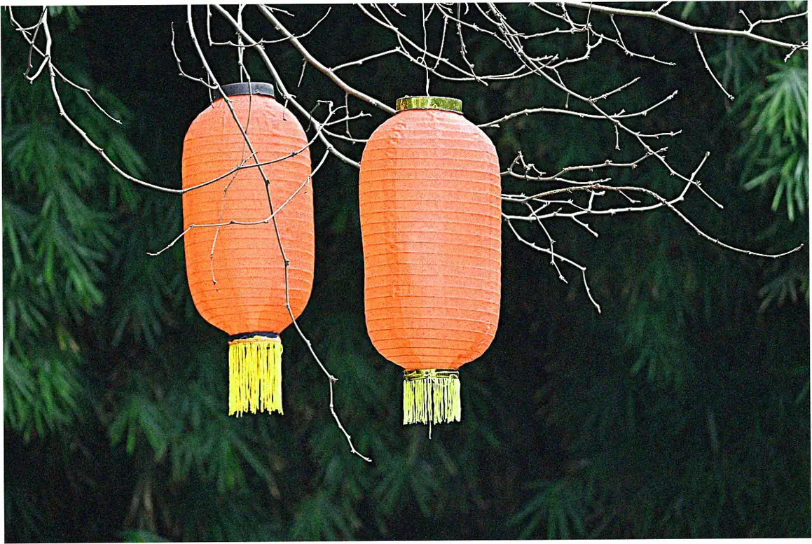 Spring Festival Decorations and Symbolic Items