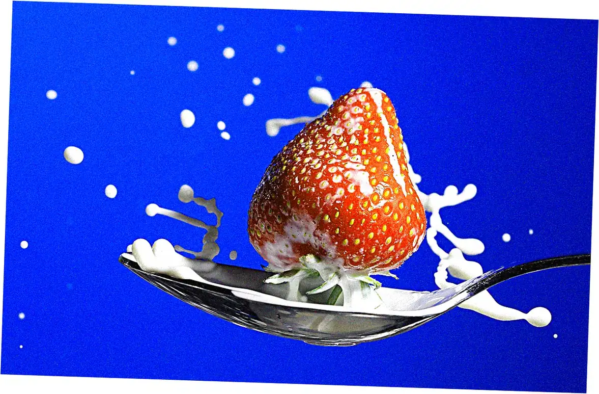 Food Traditions Across Cultures