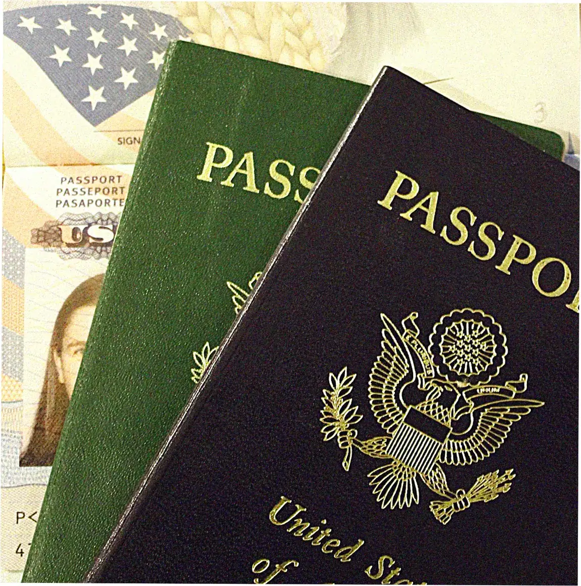 Sponsorship Documentation Preparation